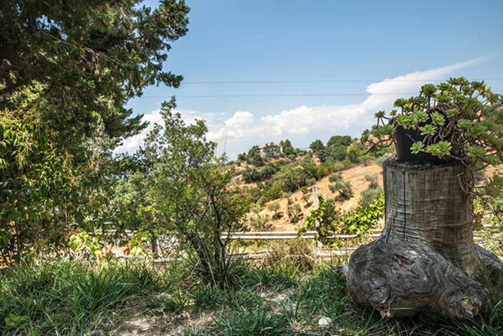 Agriturismo Miracco Atanasio Franco "Il Maniero" Santa Sofia d'Epiro Exterior photo
